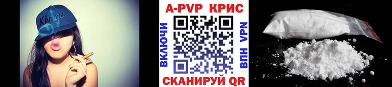 APVP СК КРИС  Орлов 