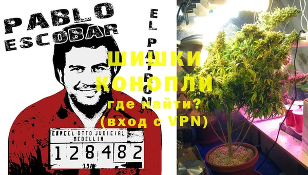 ПСИЛОЦИБИНОВЫЕ ГРИБЫ Баксан