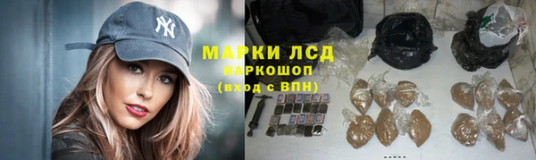 ПСИЛОЦИБИНОВЫЕ ГРИБЫ Баксан