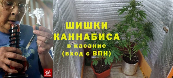 ПСИЛОЦИБИНОВЫЕ ГРИБЫ Баксан