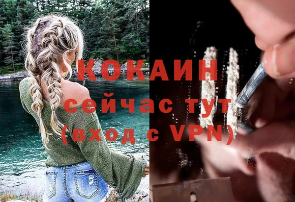 ПСИЛОЦИБИНОВЫЕ ГРИБЫ Баксан