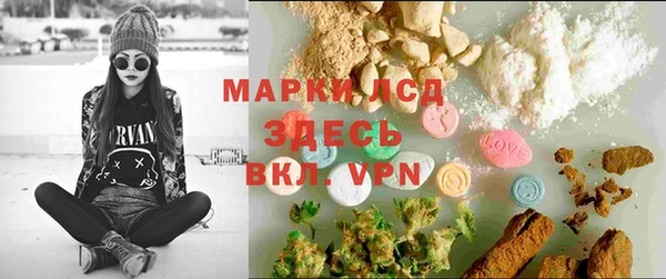 индика Киренск