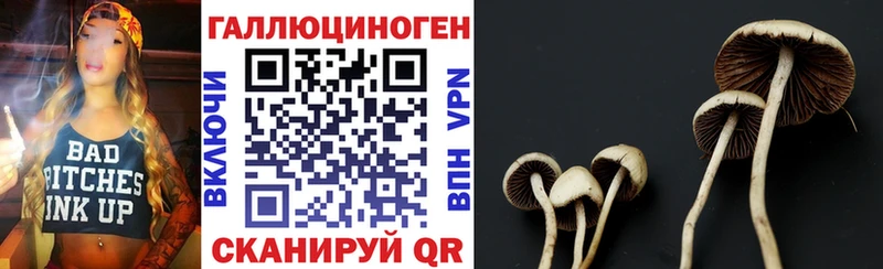 как найти наркотики  Орлов  Псилоцибиновые грибы Cubensis 